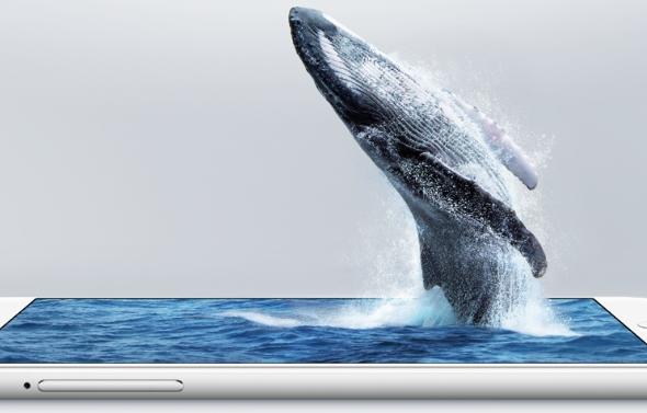 Smartisan M1 - Fotografii oficiale: Smartisan M1-M1L (3).jpg