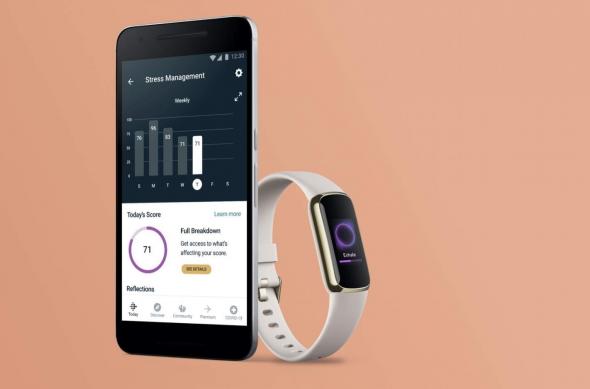 Fitbit Luxe - Galerie foto: fitbit-luxe-1.jpg