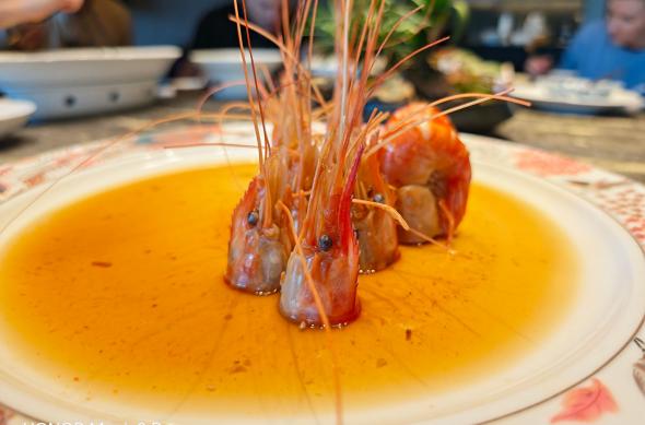 Honor Magic8 Pro - Mostre food: Honor-Magic8-Pro-Mostre-Food_019.jpg