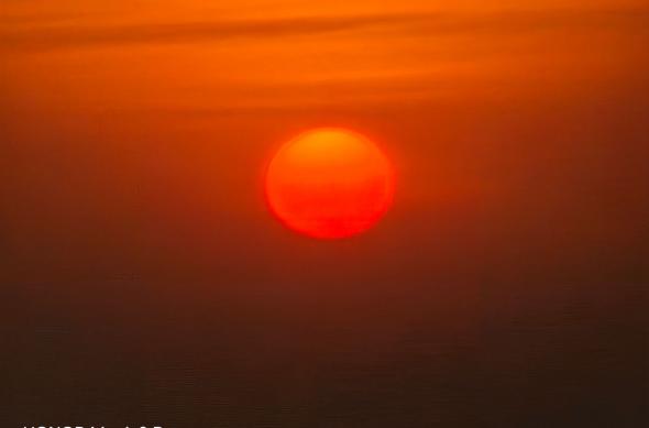 Honor Magic8 Pro - Mostre zoom: Honor-Magic8-Pro-Mostre-Zoom_006.jpg