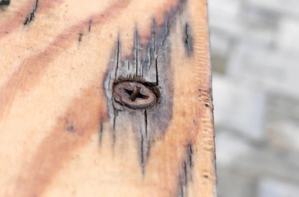 realme GT 8 Pro - Mostre macro: Macro (2).jpg