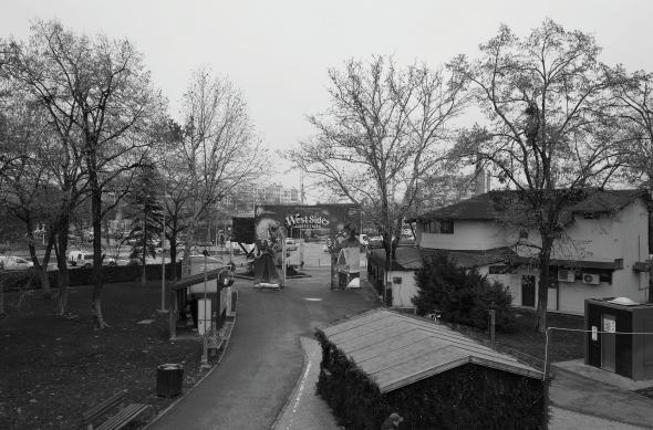 realme GT 8 Pro - Mostre Ricoh: Ricoh_ (12).jpg