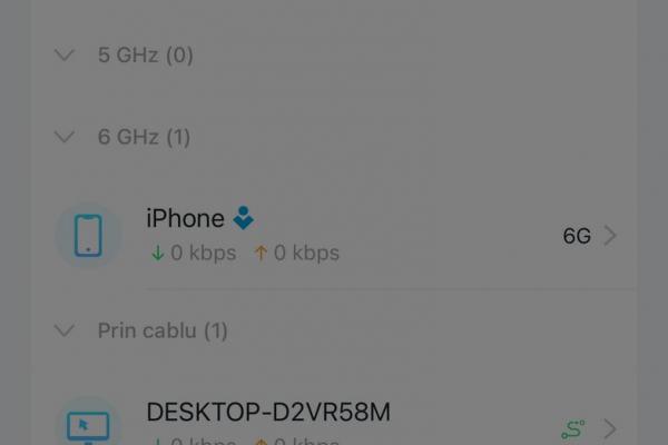 TP-Link Archer BE700 BE15000 - Aplicație