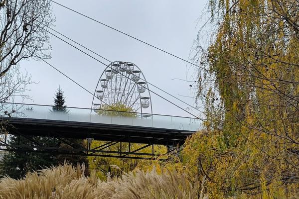 Nothing Phone (3a) Lite - Mostre zoom