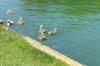 IMG_20170523_083638_1.jpg