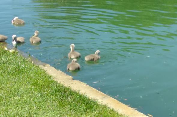 Fairphone 2 - Mostre Foto (ziua): IMG_20170523_083638_1.jpg