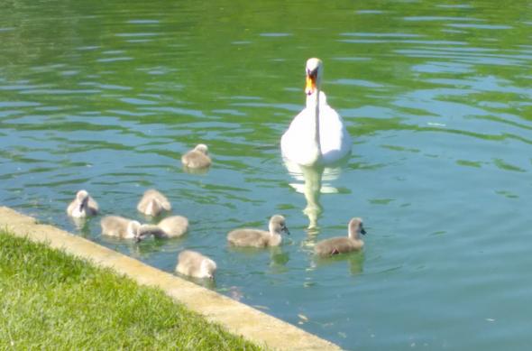 Fairphone 2 - Mostre Foto (ziua): IMG_20170523_083602.jpg