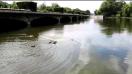 Huawei P8 video sample with zoom II. (FHD, 1920x1080, 30FPS) - Mobilissimo.ro
