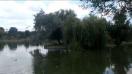 Allview P6 Qmax video sample IV. (Full HD, 1920x1088, 30 FPS) - Mobilissimo.ro