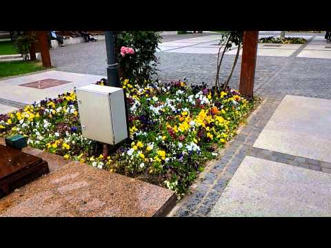 Asus Zenfone 2 4GB (ZE551ML) video sample after update, with zoom (Full HD, 1920x1080px, 30FPS)