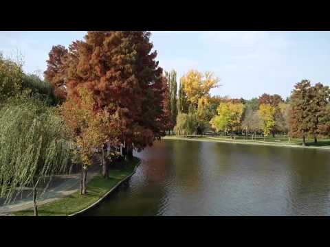 OnePlus 2 - Mostră video FULL HD 30 FPS - Mobilissimo.ro