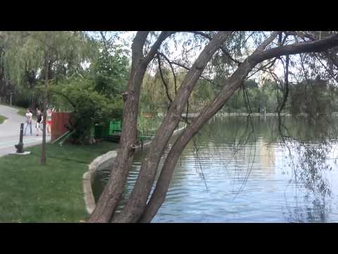 Allview P6 Qmax video sample II. (Full HD, 1920x1088, 30 FPS) - Mobilissimo.ro