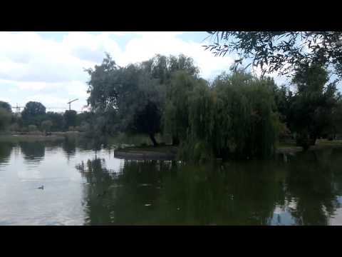 Allview P6 Qmax video sample IV. (Full HD, 1920x1088, 30 FPS) - Mobilissimo.ro