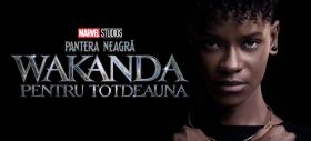 Pantera Neagră: Wakanda Pentru Totdeauna stabileşte un record de vizionare pe Disney+