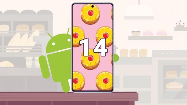 <b>Ce telefoane Samsung vor primi actualizarea la Android 14 şi One UI 6.0</b>Parcă mai rapid ca niciodată, Google tocmai a lansat Android 14 Developer Preview azi, Se axează pe setări de accesibilitate, autonomie şi securitate. Aşteptam dezvăluirea tuturor funcţiilor noi în mai, la evenimentul I/O 2023, în vreme ce debutul 