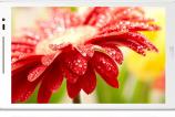 ZenPad_8_Z380M_21.jpg