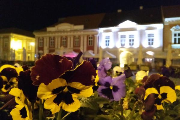 Allview X4 Soul Infinity N - Mostre Foto (seara)