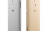 ZTE Small Fresh 4 (9).jpg