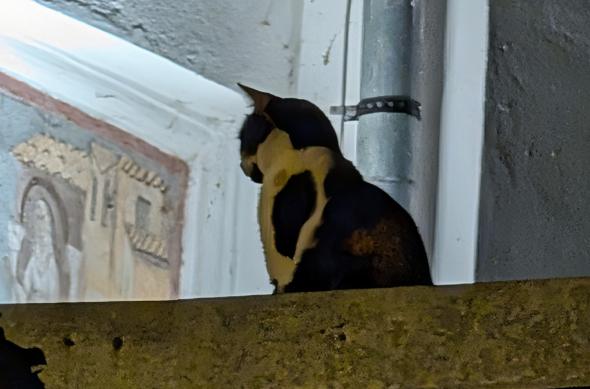 Google Pixel 10 Pro XL - Mostre Foto (seara): PXL_20250823_175653555.jpg