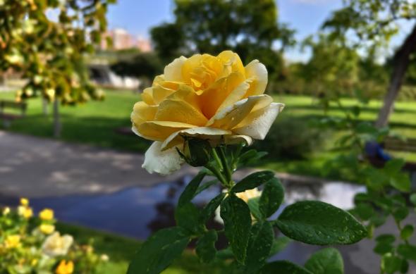 Nothing Phone (2) - Mostre wide: Nothing-Phone-2-Mostre-wide_007.jpg