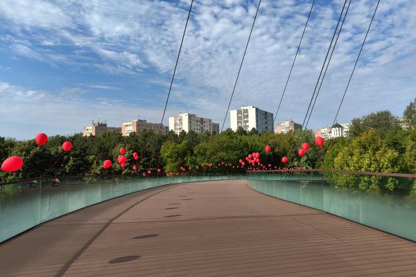 Nothing Phone (2) - Mostre wide