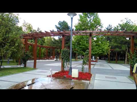 Orange Dive 71, mostră video HD, 30 FPS (focus) - Mobilissimo.ro