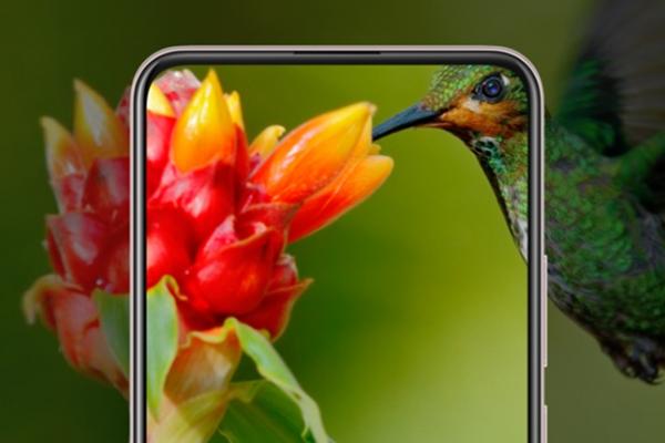 Vivo V17 debutează în India cu un design diferit față de modelul V17 din Rusia; Iată ce se mai schimbă