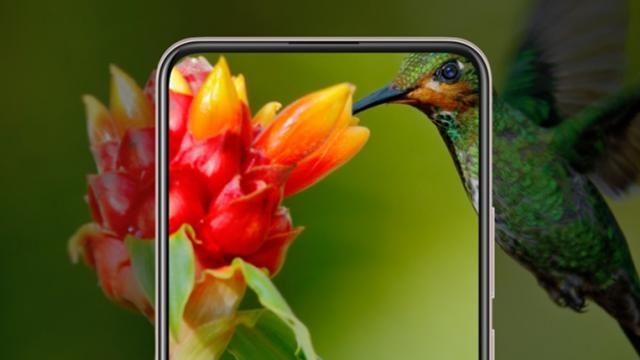 <b>Vivo V17 debutează în India cu un design diferit față de modelul V17 din Rusia; Iată ce se mai schimbă</b>Printre telefoanele ce au debutat în luna noiembrie l-am avut și pe Vivo V17, smartphone anunțat pe piața din Rusia cu o cameră romb în spate și ecran cu decupaj picătură pentru camera selfie