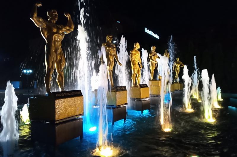 iHunt Alien X ApeX - Mostre Foto (seara): IMG_20190420_011620_3.jpg