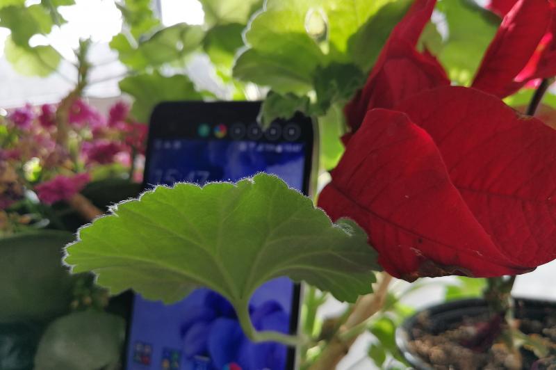 Huawei P10 Plus - Mostre Foto (la interior): IMG_20170316_154731.jpg
