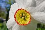 Mostre-macro_ (13).jpg