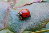 Mostre-macro_ (10).jpg