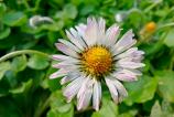 Mostre-macro_ (15).jpg