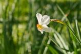 Mostre-bokeh_ (12).jpg