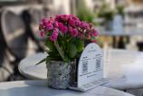 Mostre-bokeh_ (18).jpg