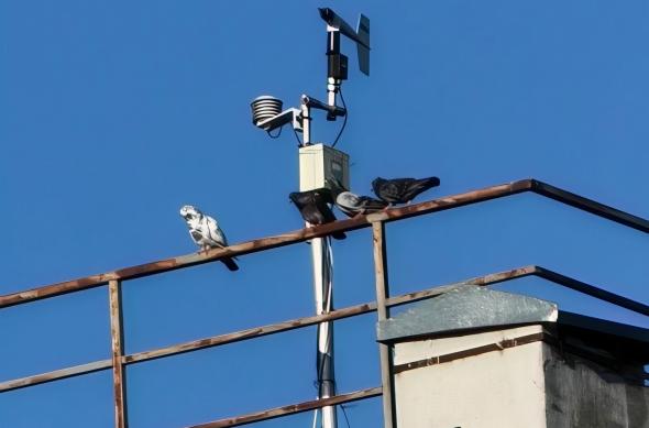 OPPO Find X9 Ultra - Mostre foto (zoom): Mostre-zoom_ (12).jpg