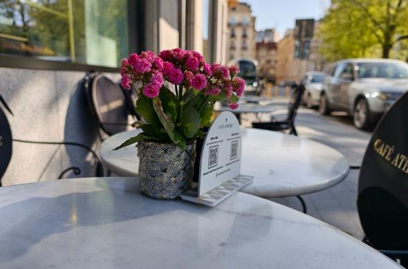 OPPO Find X9 Ultra - Mostre foto (ziua): Mostre-zi_ (34).jpg