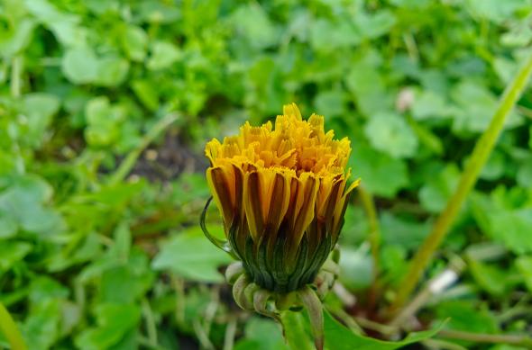 OPPO Find X9 Ultra - Mostre Foto (bokeh): Mostre-bokeh_ (8).jpg