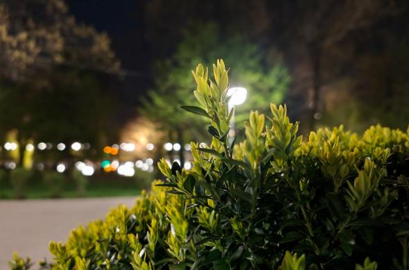 OPPO Find X9 Ultra - Mostre Foto (seara): Mostre-noapte_ (33).jpg