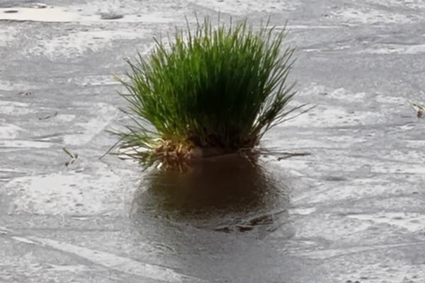 Samsung Galaxy S21+ 5G - Mostre Foto (zoom)