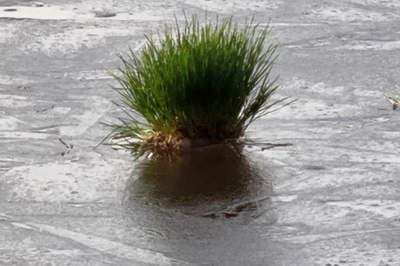 Samsung Galaxy S21+ 5G - Mostre Foto (zoom): 20210122_155935.jpg