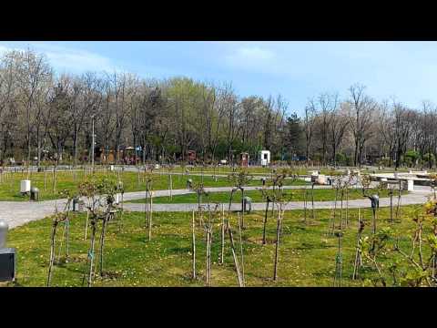 ASUS ZenFone 2 Deluxe Special Edition, mostră video Full HD, 30 FPS (test focus 2) - Mobilissimo.ro