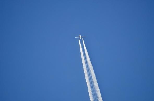 Xiaomi 17 Ultra - Mostre zoom: Mostre-zoom_ (26).jpg