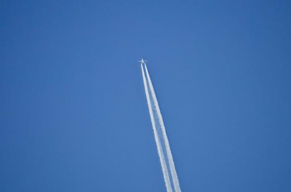 Xiaomi 17 Ultra - Mostre zoom: Mostre-zoom_ (24).jpg