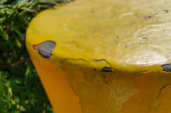 Motorola edge 70 Fusion - Mostre macro: Macro_ (4).jpg