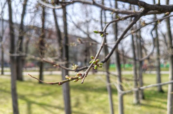 Motorola edge 70 Fusion - Mostre bokeh: Portrait_ (9).jpg