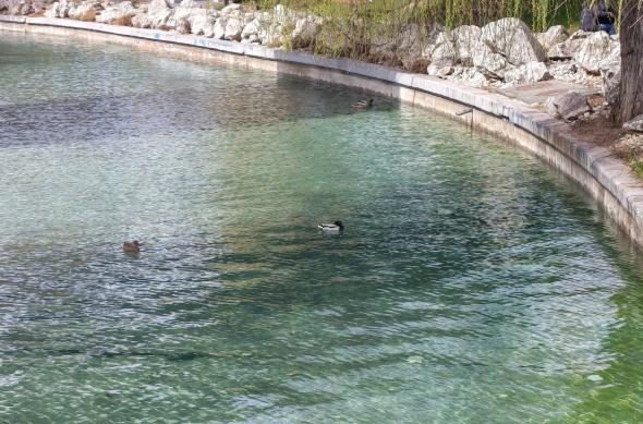 Motorola edge 70 Fusion - Mostre zoom: Zoom_ (13).jpg