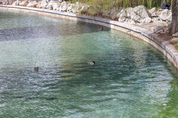 Motorola edge 70 Fusion - Mostre zoom