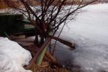 IMG_20120307_161120.jpg