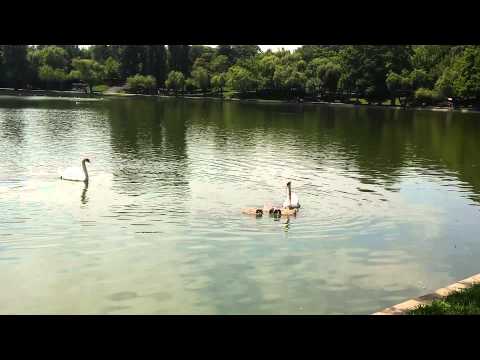 LG AKA video sample III. - Mobilissimo.ro